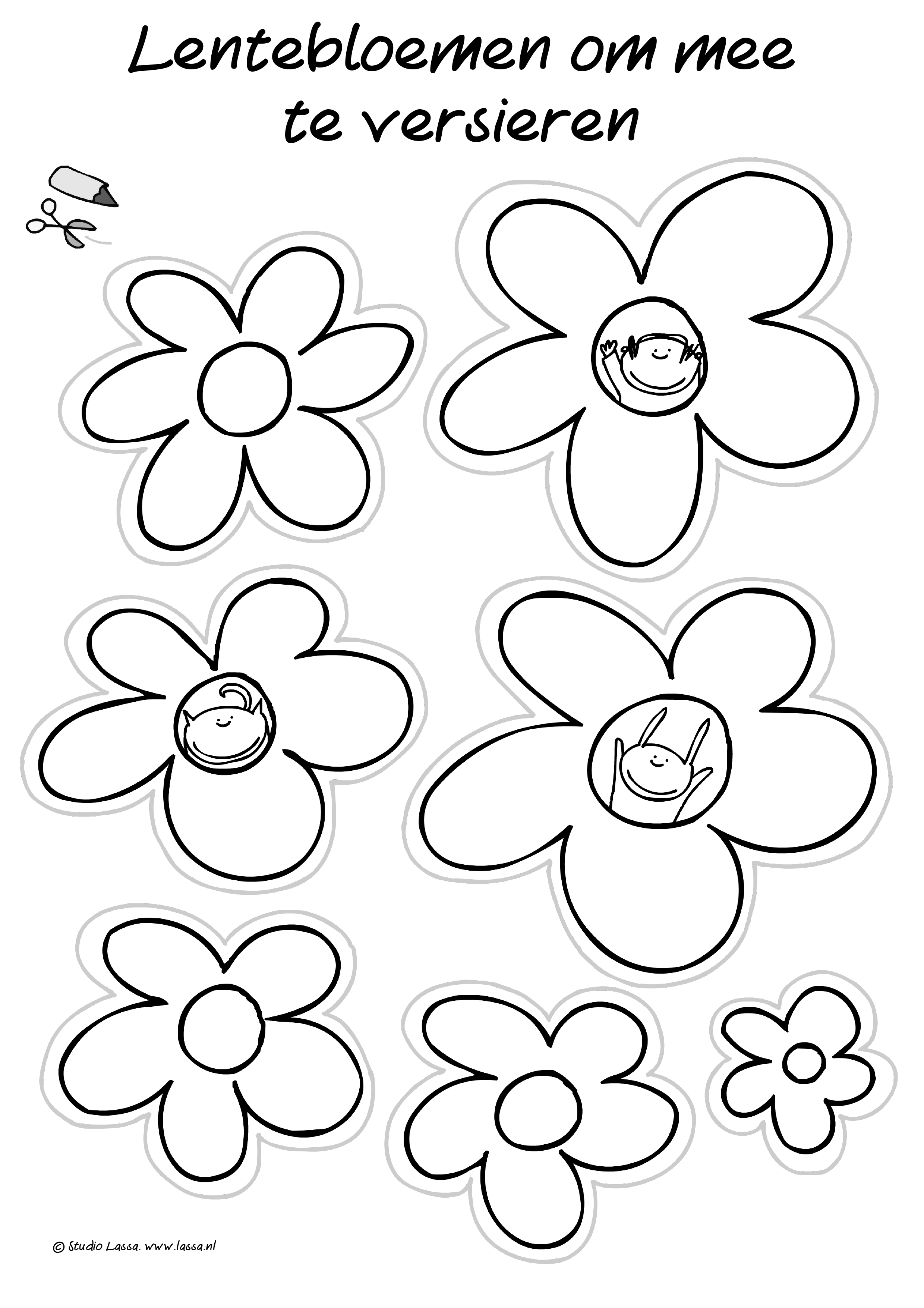 Studio Lassa: Thema Lente